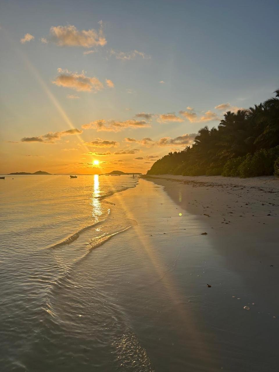 Bijoutier Apartments Grand Anse  ภายนอก รูปภาพ