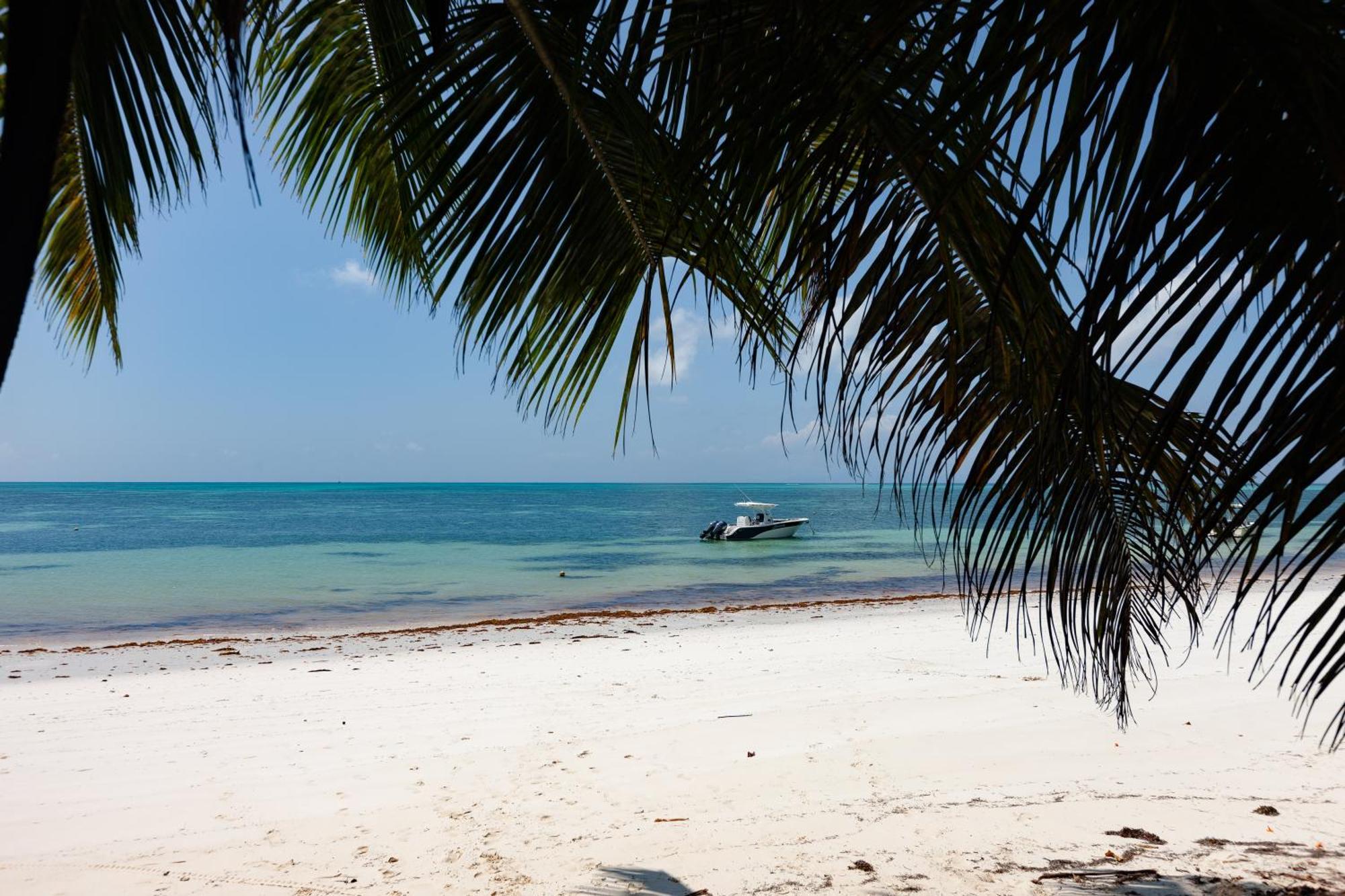 Bijoutier Apartments Grand Anse  ภายนอก รูปภาพ
